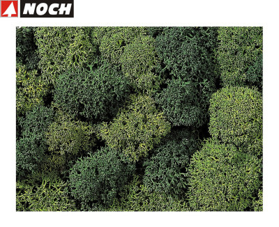 NOCH sachet de 35gr de lichen verts mélangés Decors et diorama