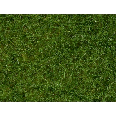 NOCH sachet de flocage herbes sauvages   haut =6mm vert clair (50g) Decors et diorama