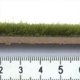 Wild grass XL meadow (0,24 in long) Accessories