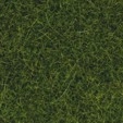 NOCH Wild grass XL light green (0,47 in long) Decorations and landscapes