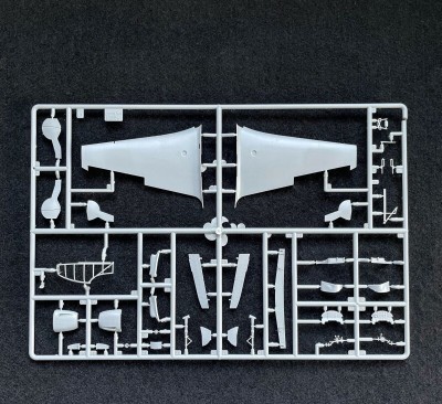 ZVEZDA plastic kit 